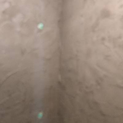 曙光花园望山园