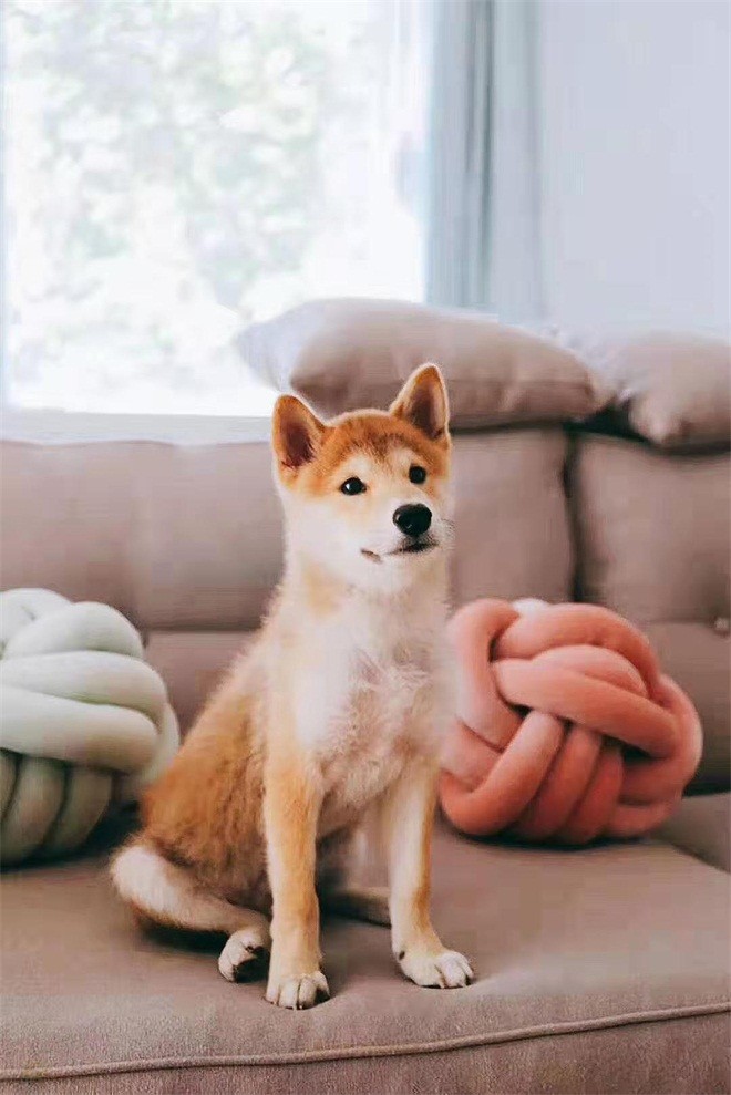 60平米一居室北京领秀慧谷A现代简约风格装修效果图