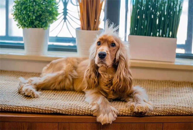 70平米二居室北京恒大名都现代简约风格装修效果图